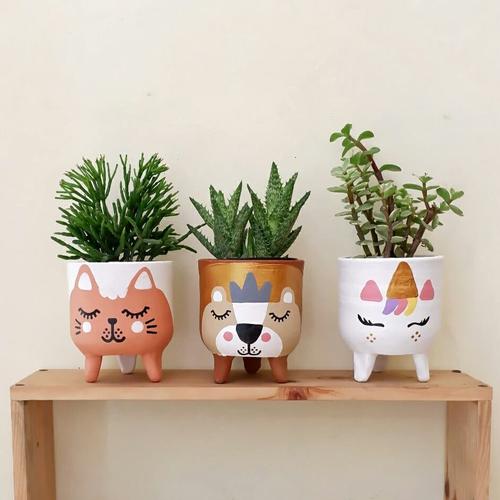 Foto Produk Paket bundle Pot & Kaktus Mini Leggie Animal Myth Series - Unicorn dari Cloky Cactus