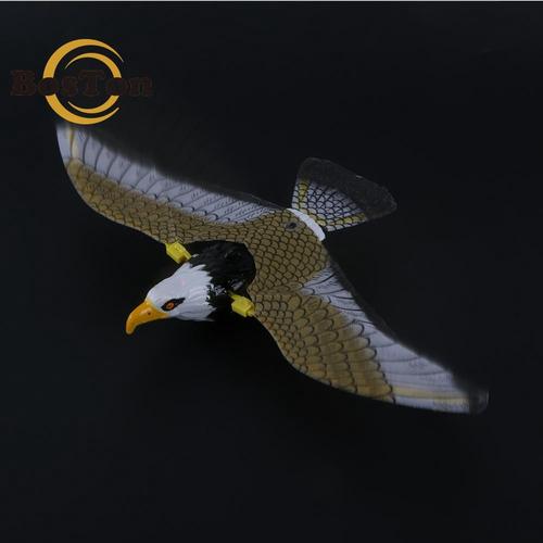 65 Koleksi Gambar Burung Elang Terbang HD Terbaru