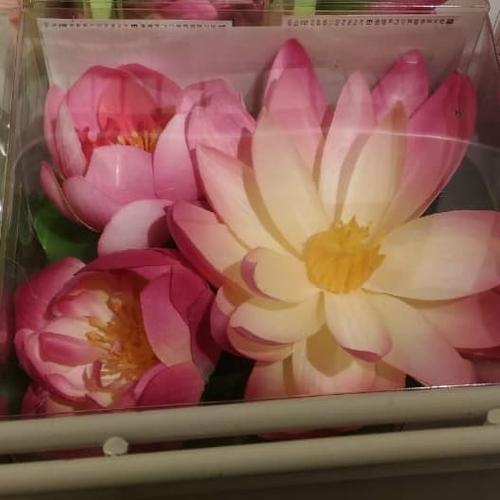 Jual 3pc Bunga Teratai Tiruan Mengambang Aneka Ukuran Lotus Flower Kota Tangerang Ikea One Indonesia Tokopedia