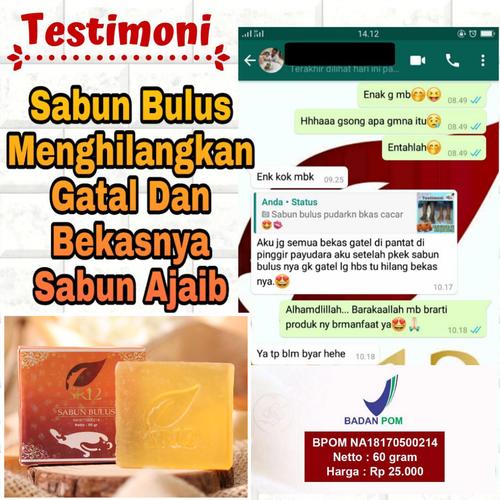 Jual Sabun Bulus Serbaguna Kulit Anti Bakteri Jamur Untuk Obat Panu Gatal Kota Tangerang Sr12 Skincare Official Tokopedia