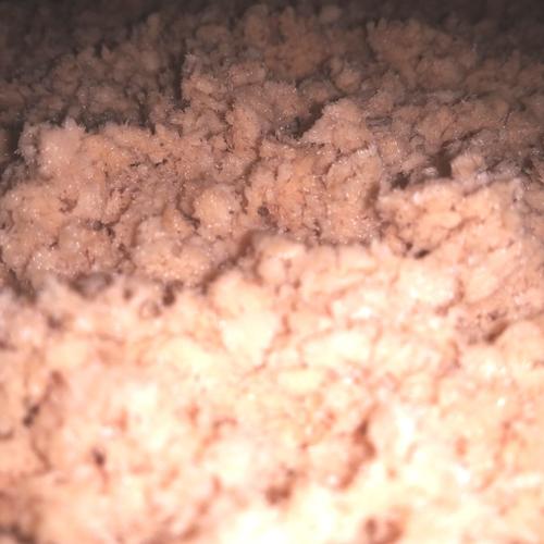 Foto Produk Telur maggot fresh,telur bsf,telur maggot bsf dari Telur Bsf Indonesia