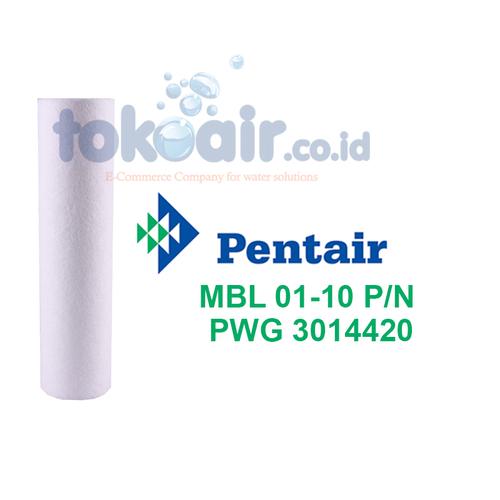 Foto Produk PENTAIR Meltblown 01 Mikron 10" dari Toko Filter Airindo
