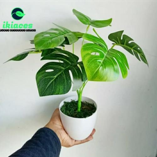 Foto Produk DAUN MONSTERA DAUN HIAS BUNGA PLASTIK DAUN ARTIFICIAL POT DEKORASI - tanpa pot dari ikiaces
