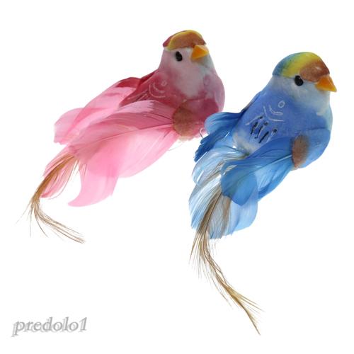 68 Gambar Burung Lucu HD