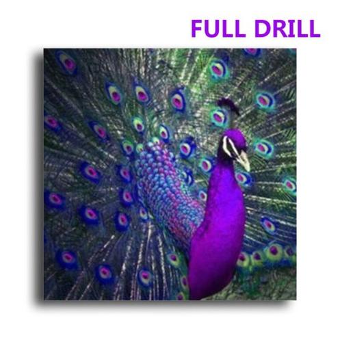 6600 Gambar Burung Merak Dan Warnanya HD