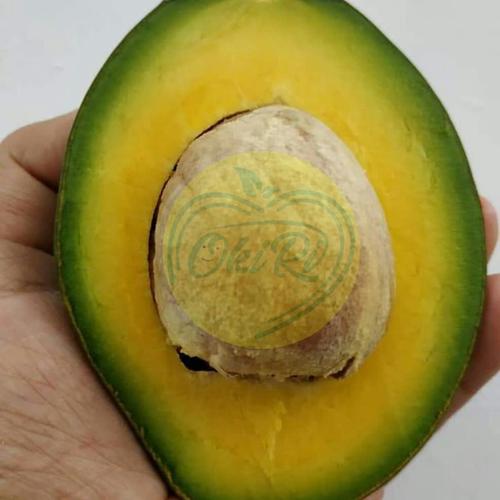 Foto Produk alpukat mentega hight quality (1kg) alpuket mentega alpokat | mentega dari OKIRI