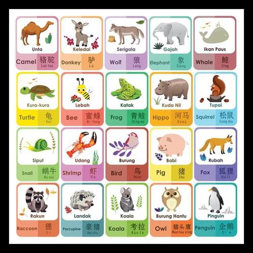 Jual Flashcard Pengenalan Hewan 3 Bahasa Kartu Pintar Anak Big Sale Jakarta Barat Siagian Makmur Tokopedia