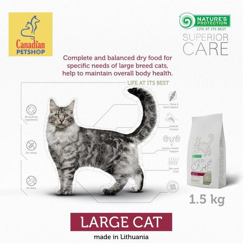 large breed cat food,smartsecurityservices.in