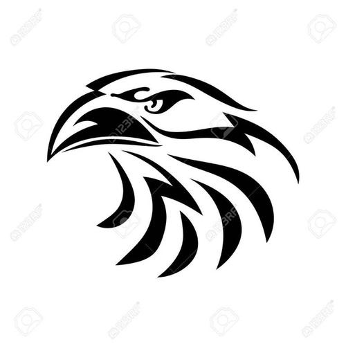 510 Gambar Burung Elang Keren HD Terbaik