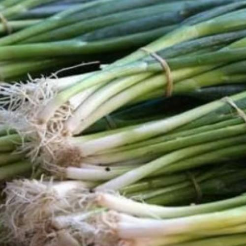 Foto Produk DAUN BAWANG 1IKAT dari PUSAT WARUNG SAYUR SEGAR TANGERANG