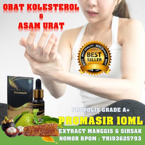 Jual Obat Persendian Kaki Bengkak Asam Urat Kolesterol Promasir Yang Manjur Jakarta Utara 2d Olshop Tokopedia