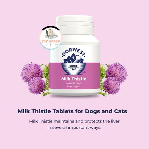 Milk thistle for dog