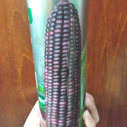 Gambar Bibit Biji Benih Jagung Pulut Ungu rasa manis ECERAN dari Biji Benih Kota Medan Tokopedia