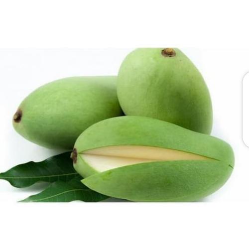Mangga muda