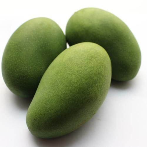 Foto Produk Mangga Harum Manis Tua Pohon dari Jak Fresh