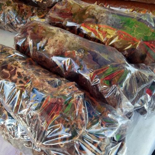 Foto Produk Sarang Semut Asli Papua dari HERBAL ALAMI PAPUA