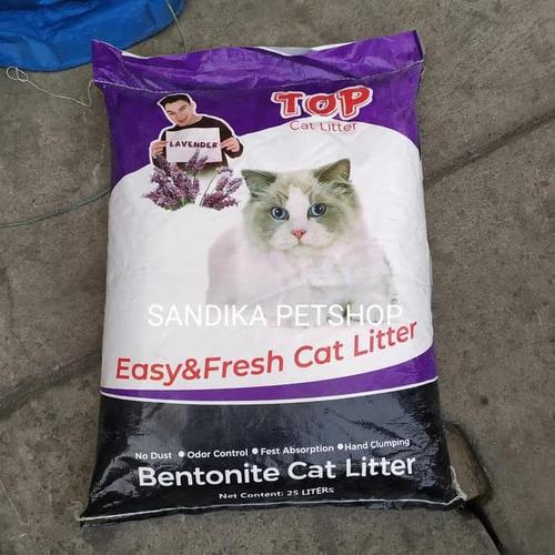 dog halters and leads