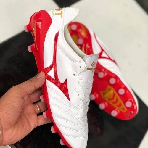 fernando torres mizuno