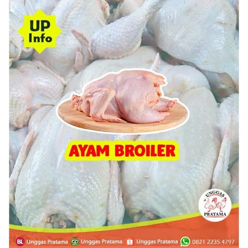 Jual Ayam Potong Boiler 1 1kg Kota Tangerang Ud Unggas Pratama 