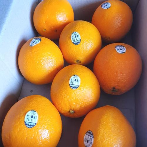 11 Cara Membedakan Jeruk Mandarin dan Jeruk Ponkam
