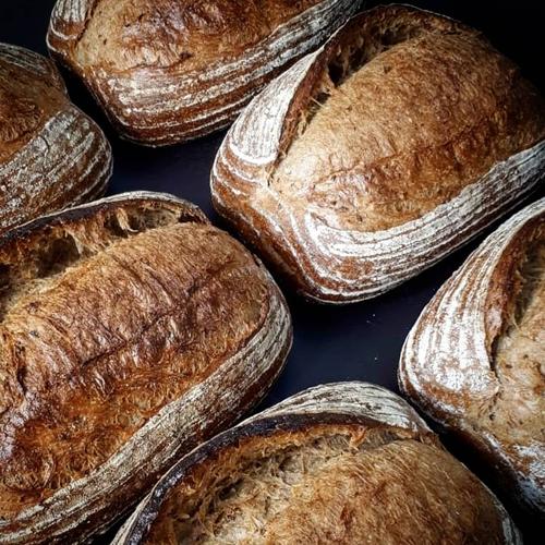 Foto Produk Don Bakeshop Sourdough Bread - Country Bread dari Don Bakeshop