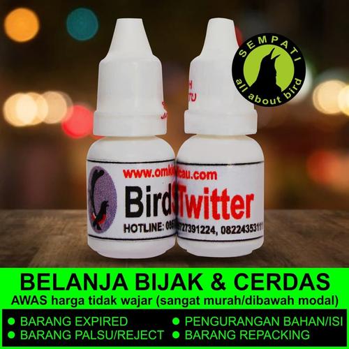 Karakter Kacer Giras Di 2021 Burung Dingin