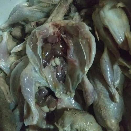 Gambar Daging puyuh karkas dari www.AuliaNeka Kota Bekasi Tokopedia