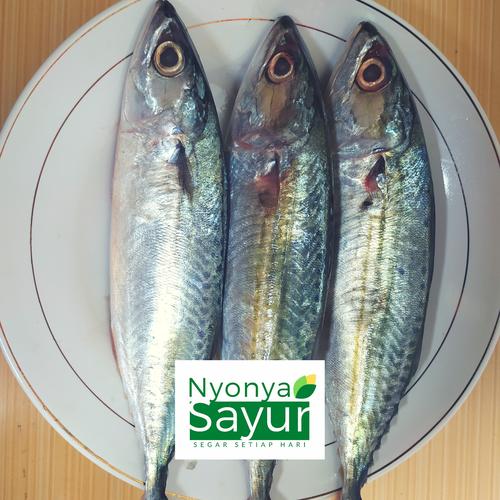 Foto Produk Ikan Kembung Banjar Segar dari Nyonya Sayur
