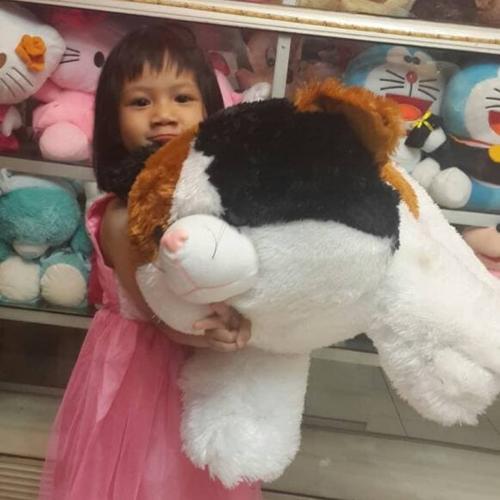 Foto Produk BONEKA KUCING JUMBO - Ukuran Jumbo dari dunia boneka lucu