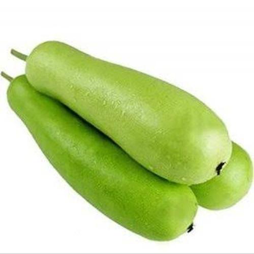 Jual Labu Air Buah Jakarta Selatan Pakdesayur Tokopedia