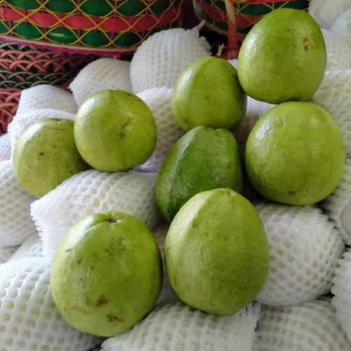 Jual Jambu Biji Jakarta Timur Toko Buah Yanti Tokopedia