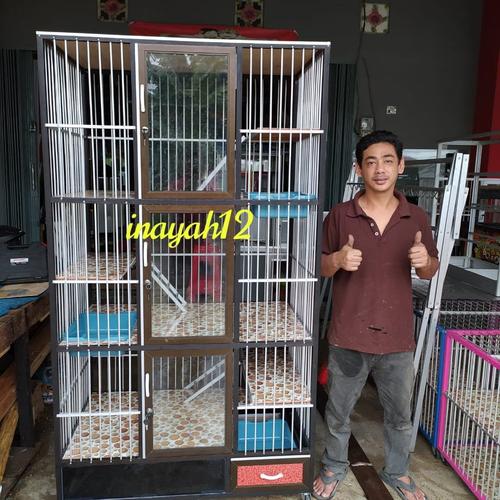 KANDANG KUCING - Hijau di Kandang Kucing Inayah12 Tokopedia