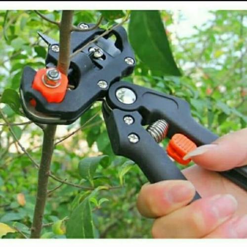 Gambar Gunting Grafting Okulasi Stek Sambungan Tanaman Kebun Tool Pruning. dari gapura tools undefined Tokopedia