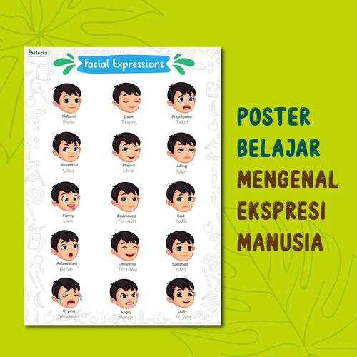 Jual Posteria Poster Edukasi Anak Mengenal Ragam Ekspresi Wajah Manusia Kota Malang Posteriaindonesia Tokopedia