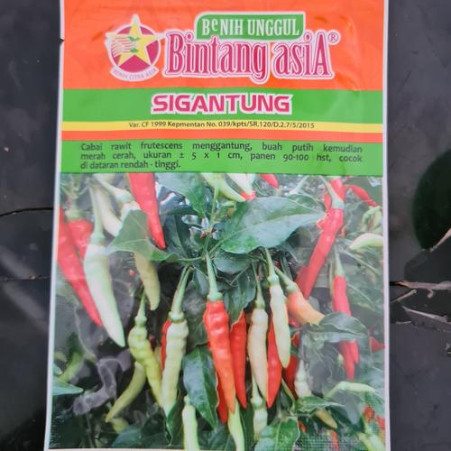 Gambar Benih Cabe Rawit SIGANTUNG 10GRAM dari MITRA TANI BANYUWANGI Kab. Banyuwangi Tokopedia