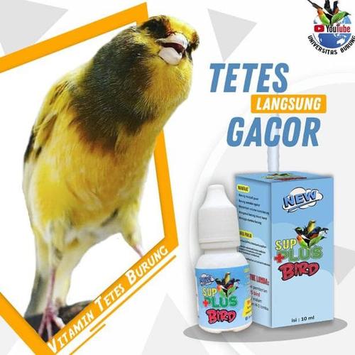 Jual Vitamin Burung Kenari Vitamin Burung Gacor Sup Plus Bird Jakarta Selatan Toko Jihan Tokopedia