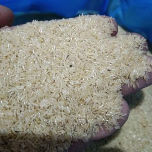 Jual Jual Telur Jangkrik Margorejo Termurah Kab Tulungagung Surya Jangkrik Jual Jual Telur Jangkrik Margorejo Termurah Kab Tulungagung Surya Jangkrik