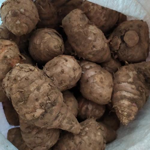 Foto Produk TEMULAWAK SEGAR FRESH 1KG dari Top One Mart