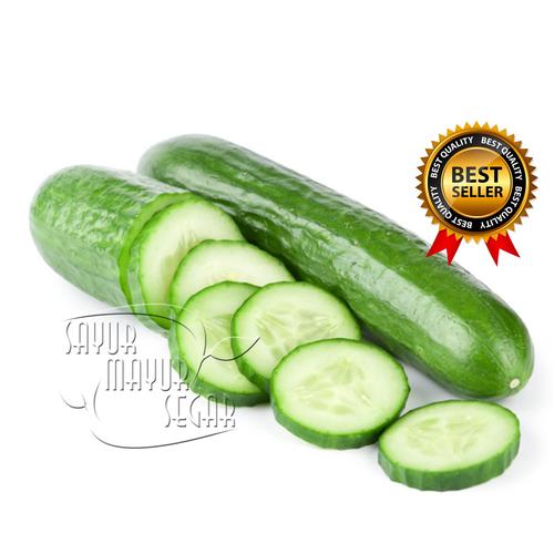 Jual Timun Jepang (Kyuri) Fresh Kemasan 500 Gram (1/2 kg) - Jakarta ...