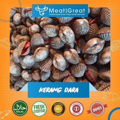 Jual Kerang Dara Mentah Segar 1 Kg 500gr 1kg Kota Bandung Meat Great Bandung Tokopedia