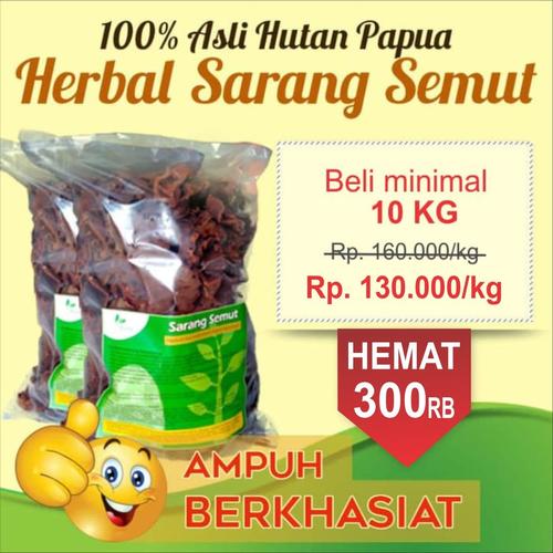 Foto Produk Obat kanker, tumor, liver, lupus herbal | sarang semut papua | curah dari Obat - Sehat Herbal