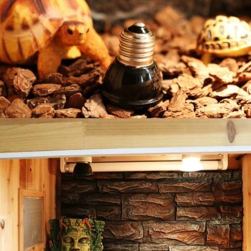 Foto Produk Lampu pemanas Nomoypet keramik heater - 80 Watt dari Motojasa
