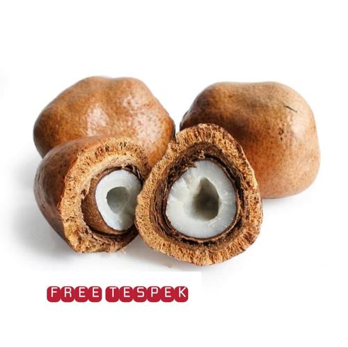 Gambar Buah Zuriat Asli Mesir 1kg Harga Grosir Buah Zuriat dari Kurma Sarifah Jakarta Pusat Tokopedia