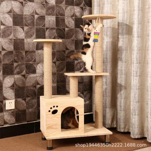 condo kucing