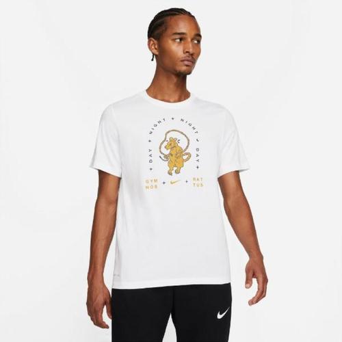 NIKE Men Dri-FIT Tee Graphic Stay White 