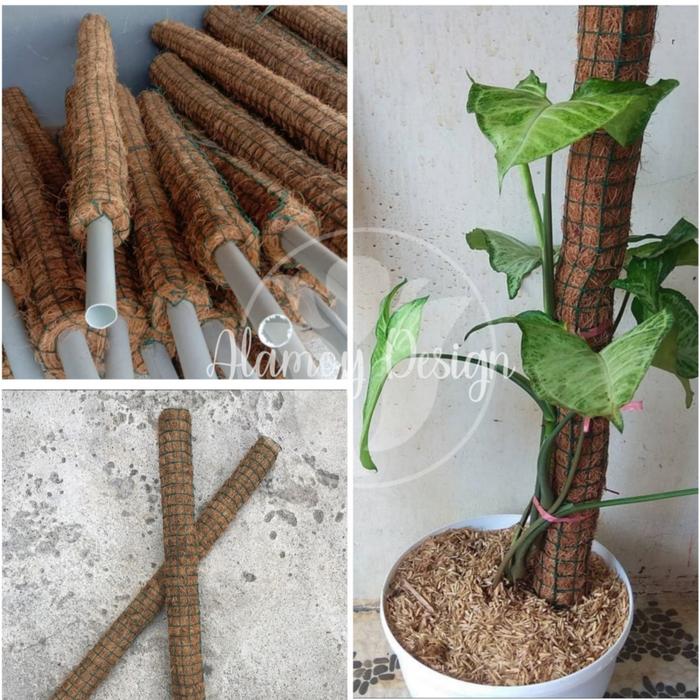 Jual Tiang Penyangga Tanaman Hias 60cm Turus Sabut Kelapa Kab Bogor Cucu Petani Tokopedia