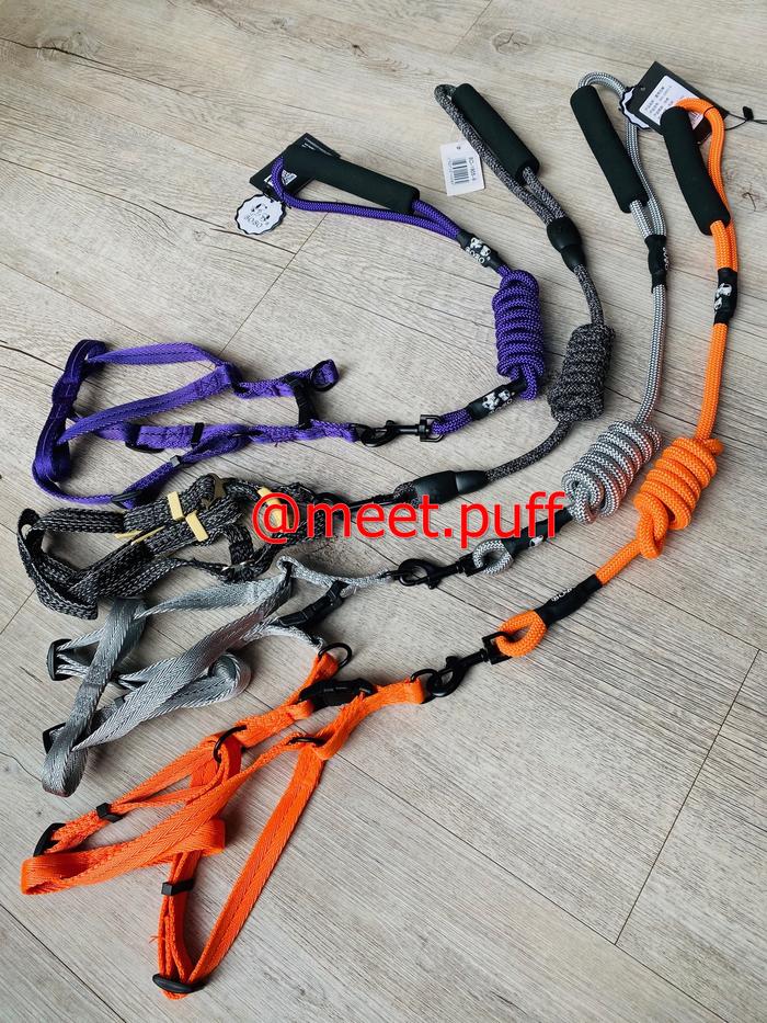Gambar SIZE M Tali anjing Kucing harnes kualitas bagusmerk BOBO 0.8 Cm TUNTUN - Orange dari Biquin Meetpuff shop undefined Tokopedia