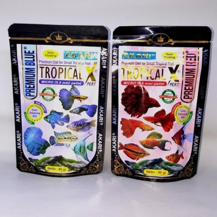 small blue tropical fish