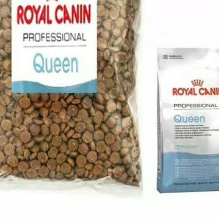 royal canin queen