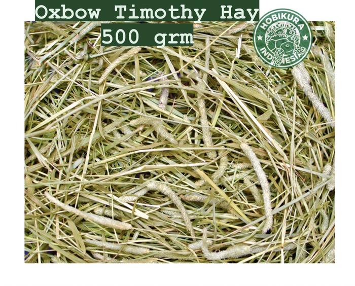 Gambar Oxbow Timothy Hay 500 grm / Rumput Makanan Kelinci Kura Darat Tortoise dari Hobikura.id undefined Tokopedia